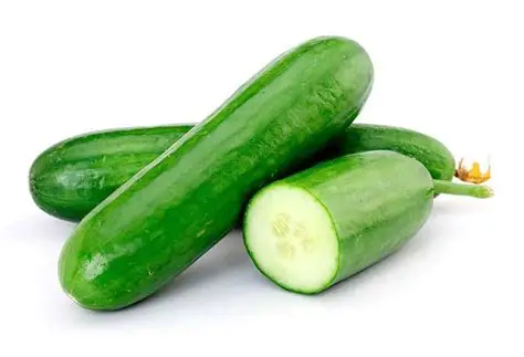 Pepino